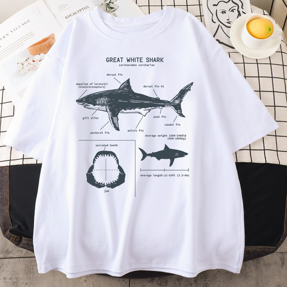 T-Shirt à Manches Courtes pour Homme, Estival et Décontracté, Style Hip Hop et Punk, Oversize, Grande Anatomie du Requin Blanc