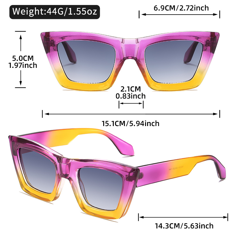 Lunettes élégantes œil de chat avec monture bleu dégradé et transparente, verres PC noirs, charnières métalliques