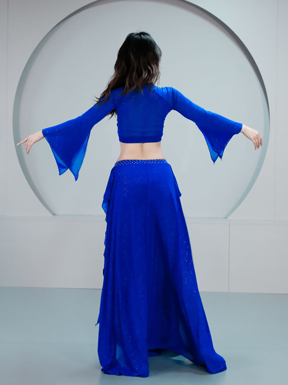Ensemble de costumes de danse du ventre, haut + jupe en maille à manches longues, tenue pour femmes adultes, vêtements de spectacle sur scène, vêtements d'entraînement