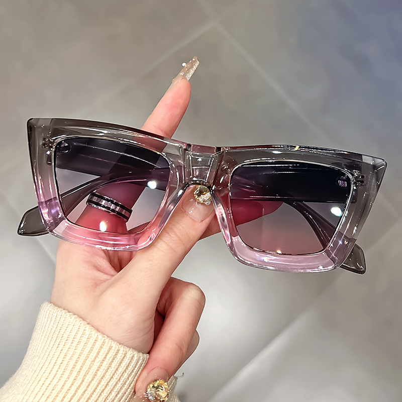 Lunettes élégantes œil de chat avec monture bleu dégradé et transparente, verres PC noirs, charnières métalliques