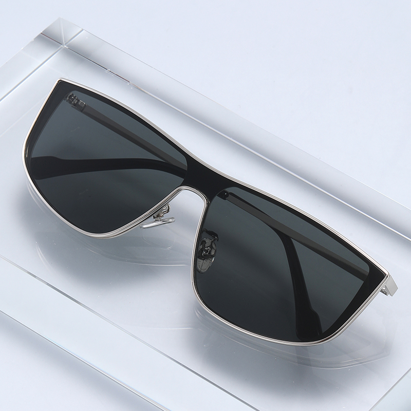 Lunettes de soleil monobloc à monture métallique, élégantes et haut de gamme, pour visages carrés et ronds, pour femmes et hommes