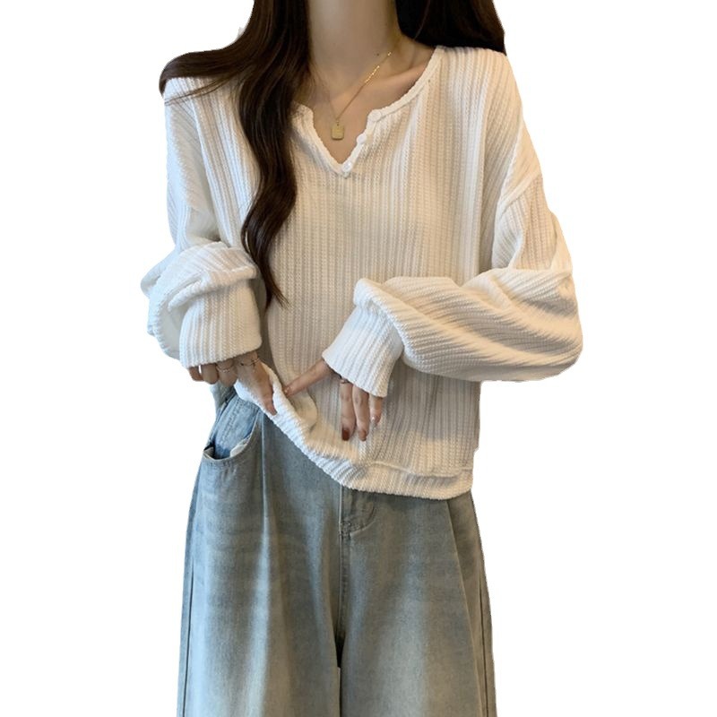 Vêtements pour femmes grande taille, printemps et automne, nouvelle collection, style européen et américain, haut à manches longues ample et léger, à porter en intérieur et en extérieur