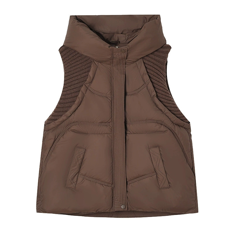 Hiver vers le bas coton gilet veste femmes 2025 nouvelle veste à manches à capuche Parkas chaud gilet manteau femme gilet pardessus dames hauts