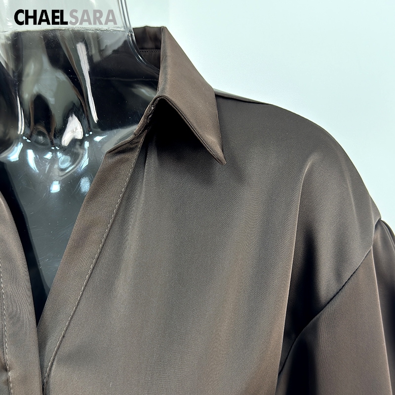 Chemisier élégant en satin à manches longues pour femme, nouvelle collection Printemps-Été 2026, haut décontracté uni pour le bureau