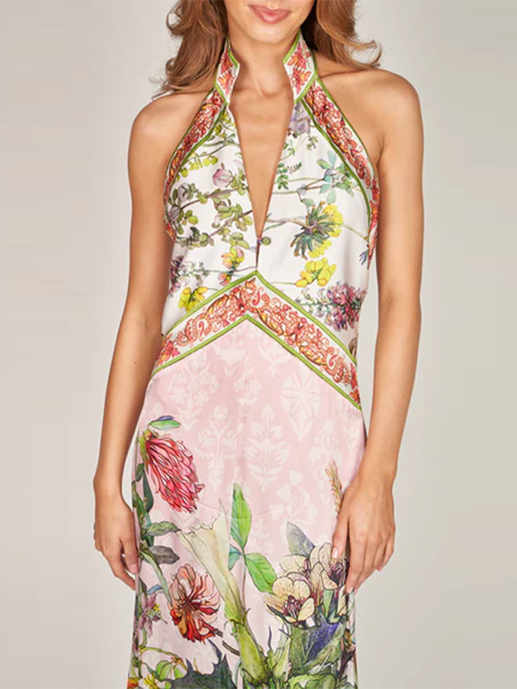 Robe longue imprimée pour femmes, col en v profond, sans manches, dos nu, taille cintrée, robes de soirée élégantes, été 2025