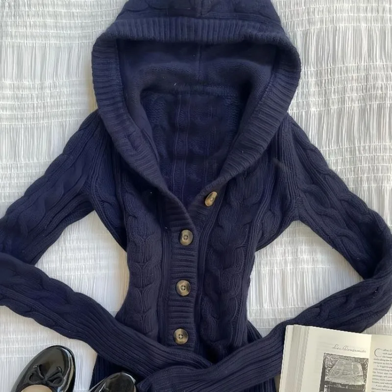 Cardigan à Capuche Bleu Foncé de Style Américain pour Femme, Pull Décontracté, Polyvalent, Rétro, Harajuku, Haut Simple, Y2K