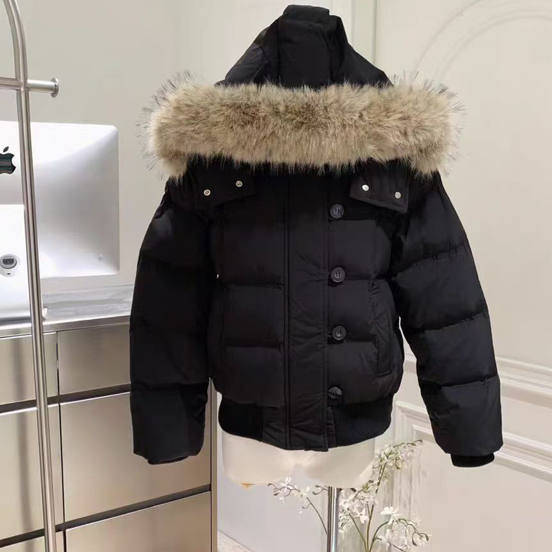Veste chaude d'hiver pour femmes, coréen, épais, grand col en fourrure, vêtements d'extérieur à capuche, mode décontractée, manteau court détachable rembourré en coton