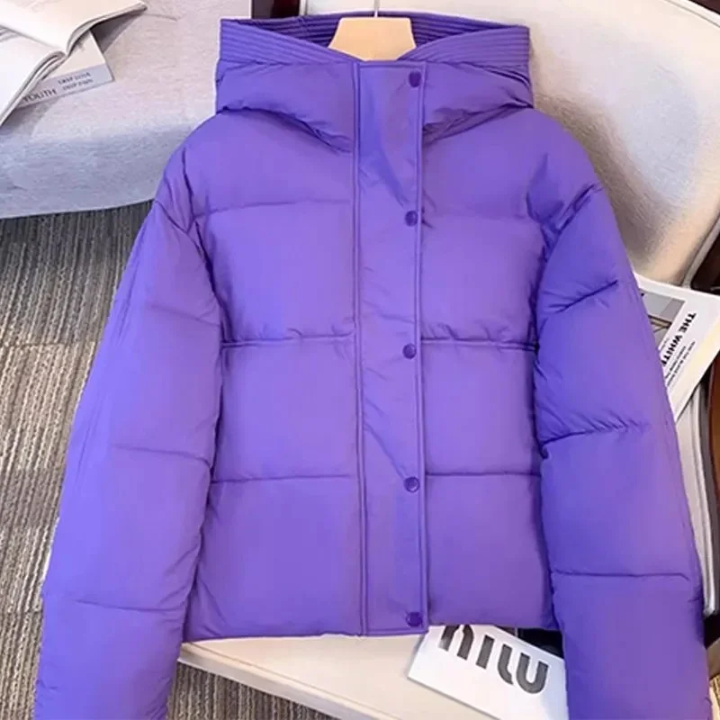 Nouvelle Veste Femme 2026 – Parka d'Hiver en Coton Rembourré, Coupe Ample, Chaude et Épaisse, à Capuche, Manteau Long Décontracté, Imperméable