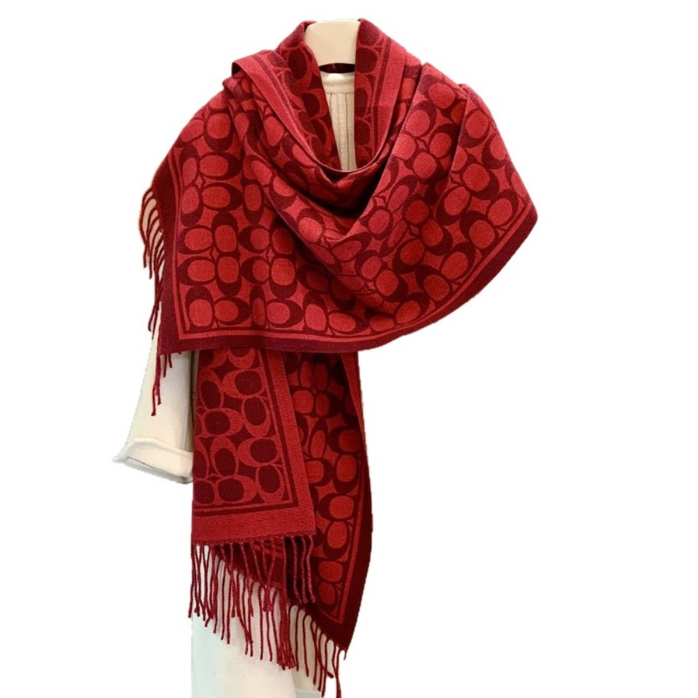 Écharpe populaire en imitation cachemire pour l'automne et l'hiver, châle épais à franges double face pour femmes, écharpe chaude et polyvalente à double usage.