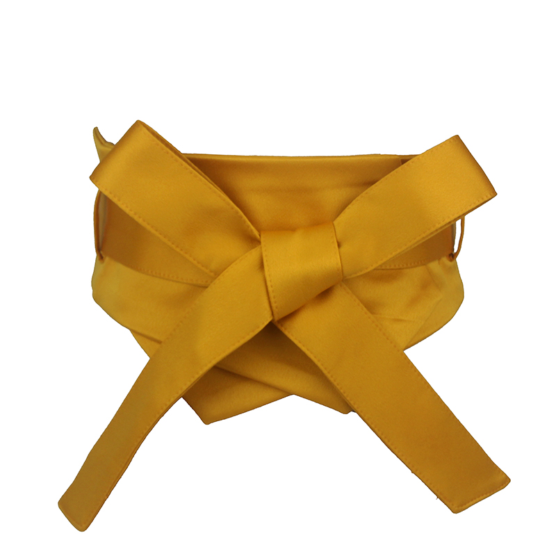 Ceinture de taille en tissu doux avec nœud papillon pour femme, corset fin, manteau, robe, environnement, rose, bleu, jaune, noir, mode, printemps, automne