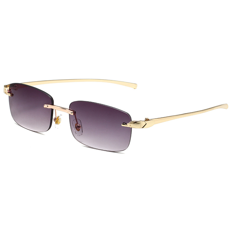 Lunettes de soleil rectangulaires sans monture pour femmes et hommes, lunettes de soleil léopard, petites nuances carrées, UV400, mode populaire, été, voyage