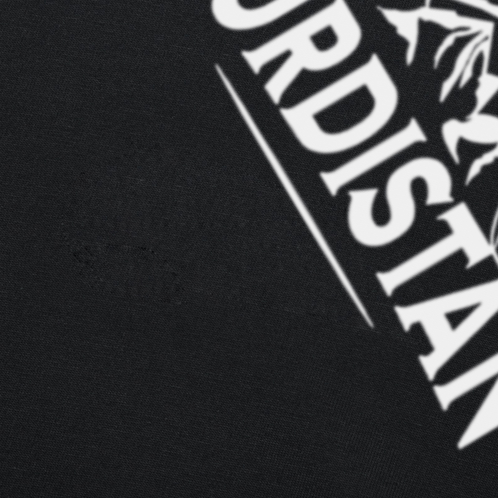 Drôle kurdistan montagnes kurds kurdish t-shirts coton à manches courtes cadeaux d'anniversaire hommes vêtements mode décontracté lâche t-shirt