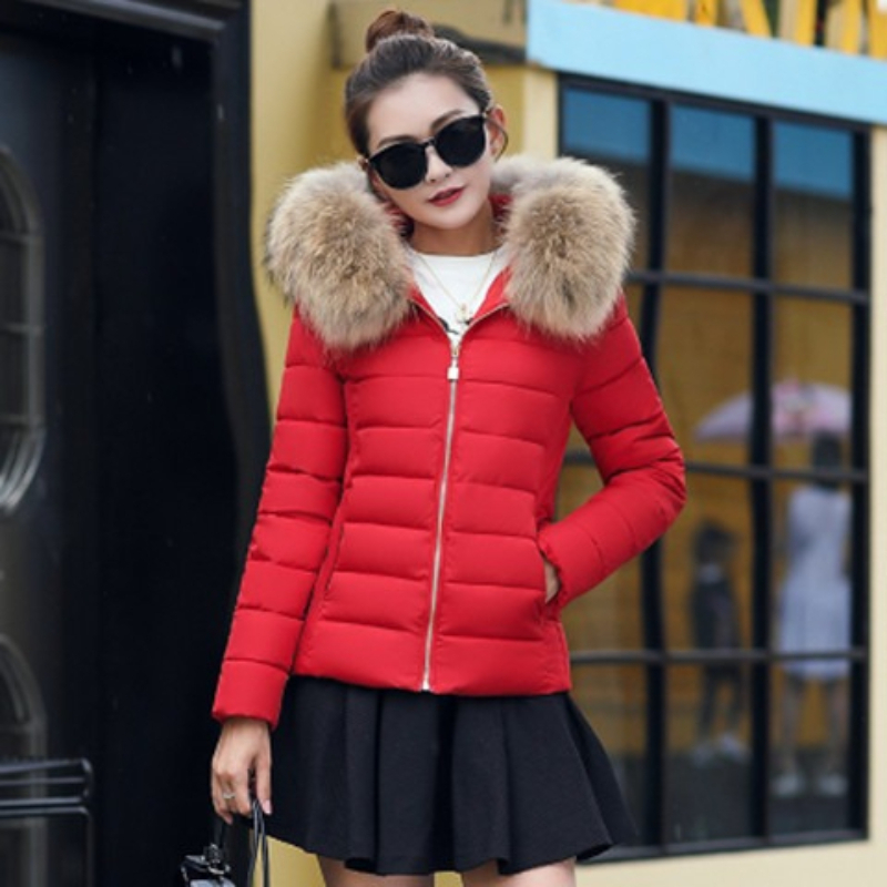 Manteau d'hiver pour femme, parka en duvet et coton, mode automne-hiver, parka à capuche courte, épaisse et chaude, veste décontractée ample pour femme