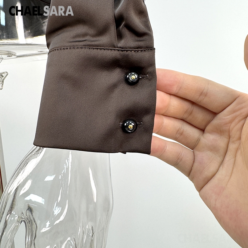 Chemisier élégant en satin à manches longues pour femme, nouvelle collection Printemps-Été 2026, haut décontracté uni pour le bureau
