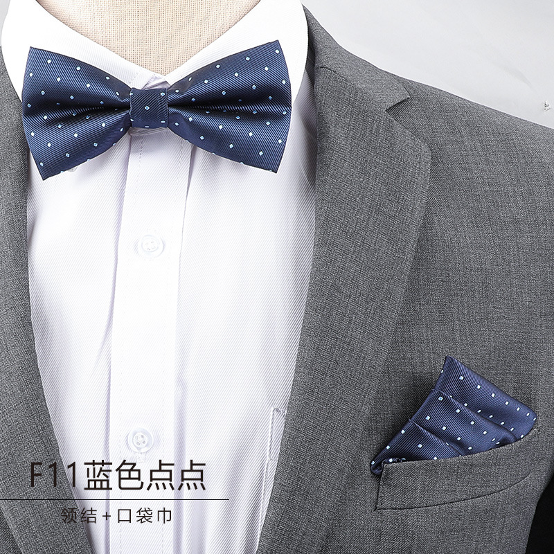 Nœud papillon et serviette de visage pour homme, pour costume, occasions formelles, banquets, mariages, tenues de marié, nœud papillon papillon masculin