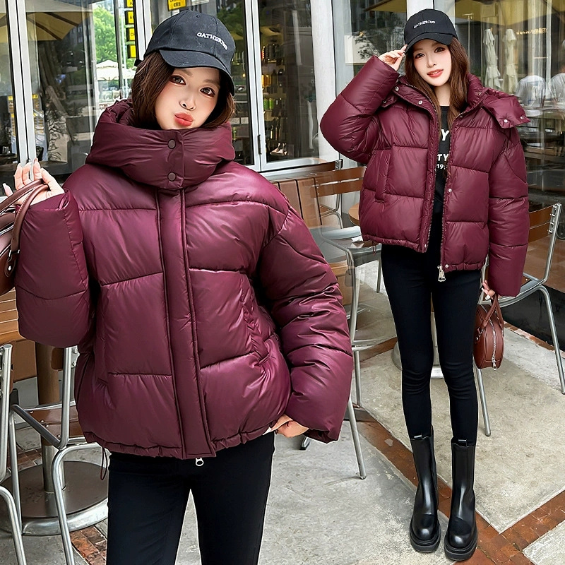 Manteau d'hiver 2026 pour femmes, en coton épais, coupe ample, à capuche, nouveau modèle court, rembourré en coton, parka pour femmes.