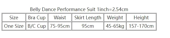 Ensemble de costumes de danse du ventre pour femmes, idéal pour les compétitions et les spectacles de danse orientale, tenue de danse du ventre, costume de danse orientale, tenue orientale personnalisable.