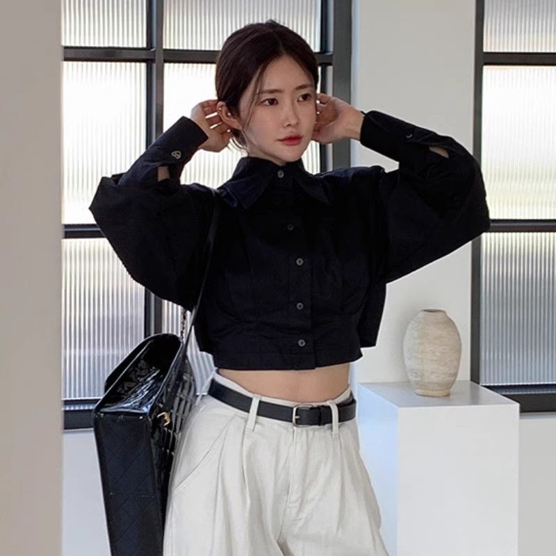 Chemisier décontracté printemps-été pour femme, chemise à manches longues unie avec lacets, haut court élégant pour le bureau, chemisier blanc