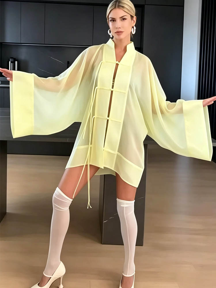 Chemisier élégant pour femme, chemise ample à manches longues, chemise décontractée à simple boutonnage, haut transparent fin et tendance