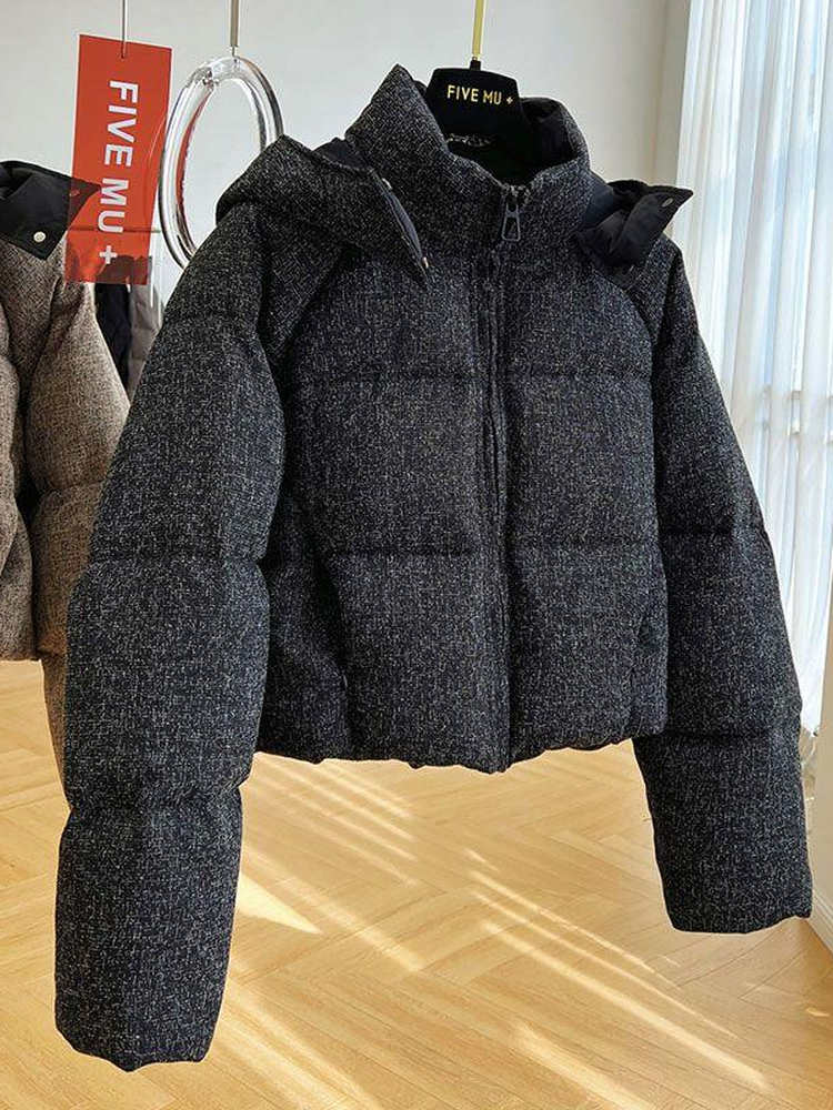 Veste courte à capuche en coton pour femme, manteaux chauds épais à col montant, mode coréenne, vêtements d'extérieur coupe-vent pour dames, hiver