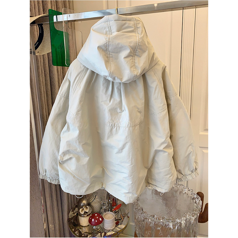 Nouvelle veste courte pour femmes 2025 printemps automne Design Sense à capuche dame vêtements d'extérieur tempérament élégant dames mode manteau