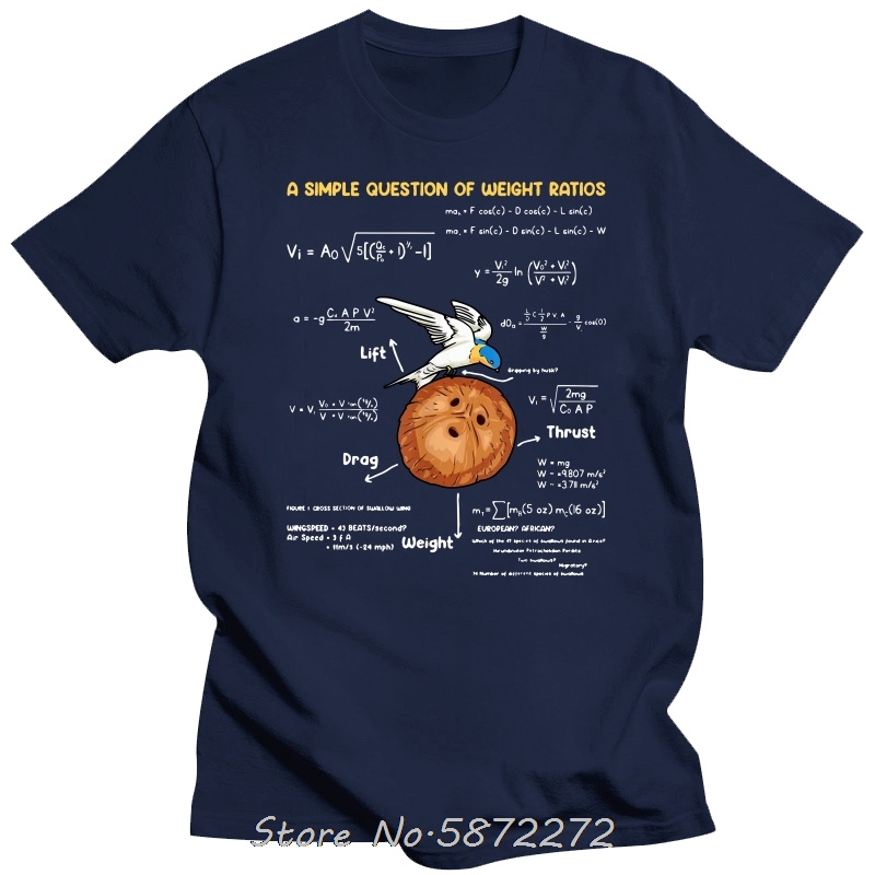 T-shirts pour hommes une question Simple professeur de mathématiques créatif Monty Python coton t-shirt unisexe t-shirt Fitness T-shirts hauts vêtements