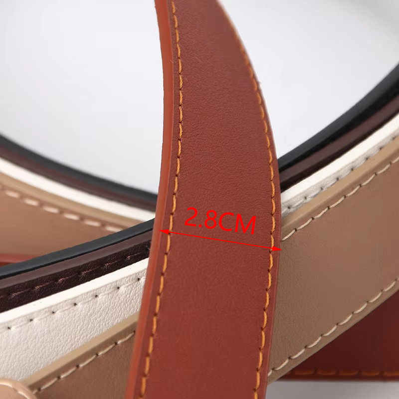 Ceintures pour femmes, style simple, marque de luxe, en cuir, pour jeans, robes, jupes, avec boucle à ardillon, ceinture fine pour filles, ceinture rétro LD2301