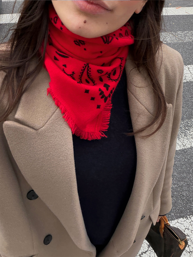 Écharpe à franges imprimée rétro pour femmes, légère et douce, coupe-vent, châle décontracté pour l'automne et l'hiver, nouveau accessoire pour femme