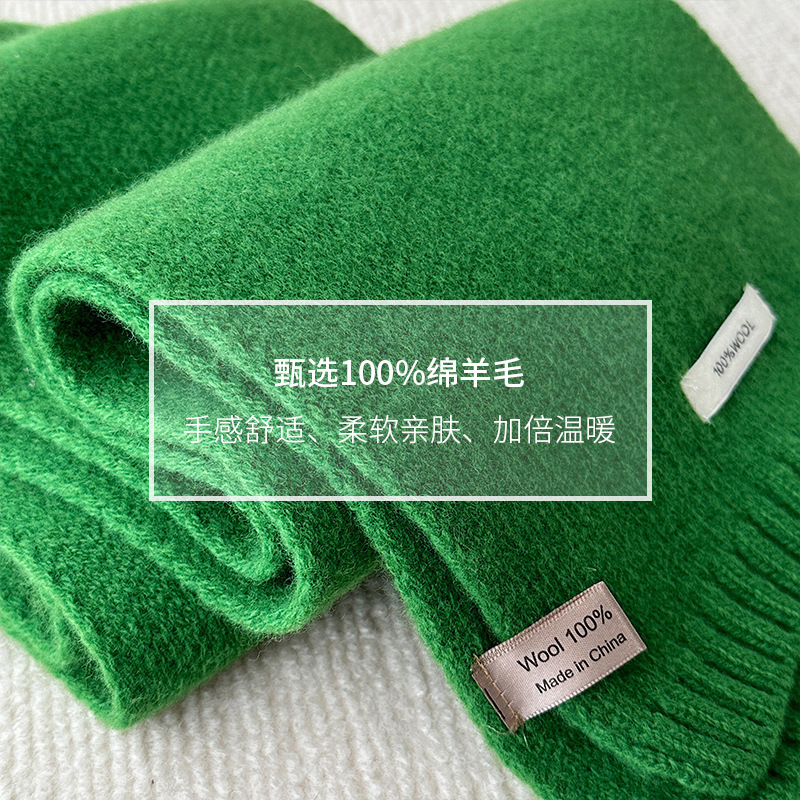 Écharpe en laine de coton pur australien 100% cachemire, couleur unie, polyvalente, tricotée chaude pour hommes et femmes, nouvelle collection automne et hiver