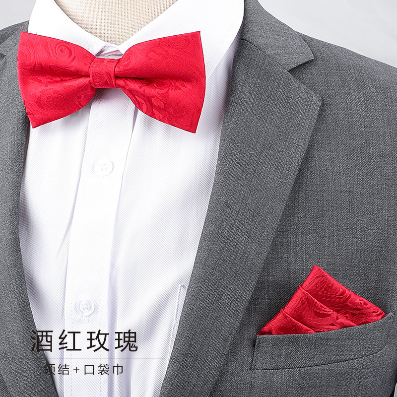 Nœud papillon et serviette de visage pour homme, pour costume, occasions formelles, banquets, mariages, tenues de marié, nœud papillon papillon masculin