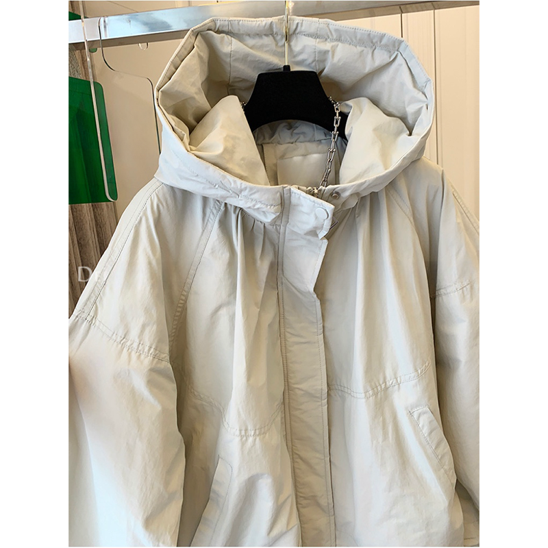 Nouvelle veste courte pour femmes 2025 printemps automne Design Sense à capuche dame vêtements d'extérieur tempérament élégant dames mode manteau