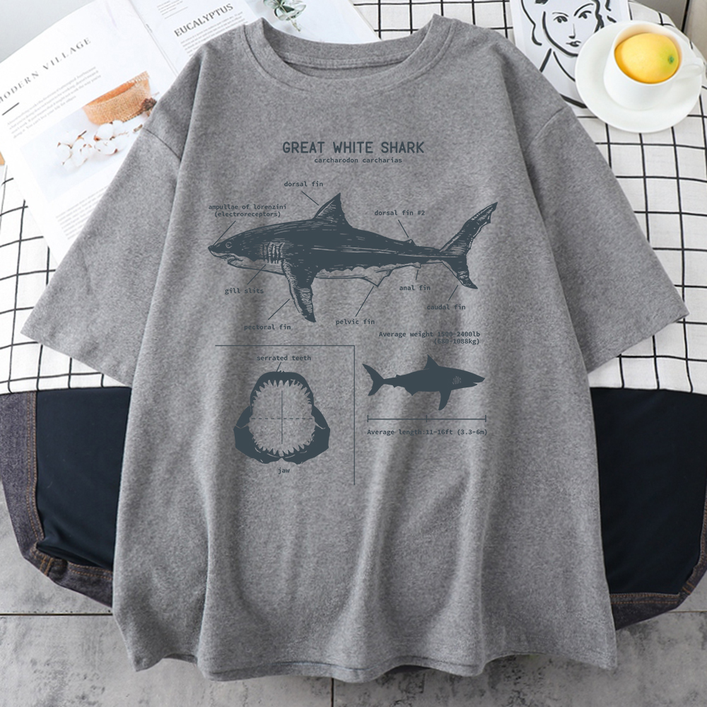 T-Shirt à Manches Courtes pour Homme, Estival et Décontracté, Style Hip Hop et Punk, Oversize, Grande Anatomie du Requin Blanc