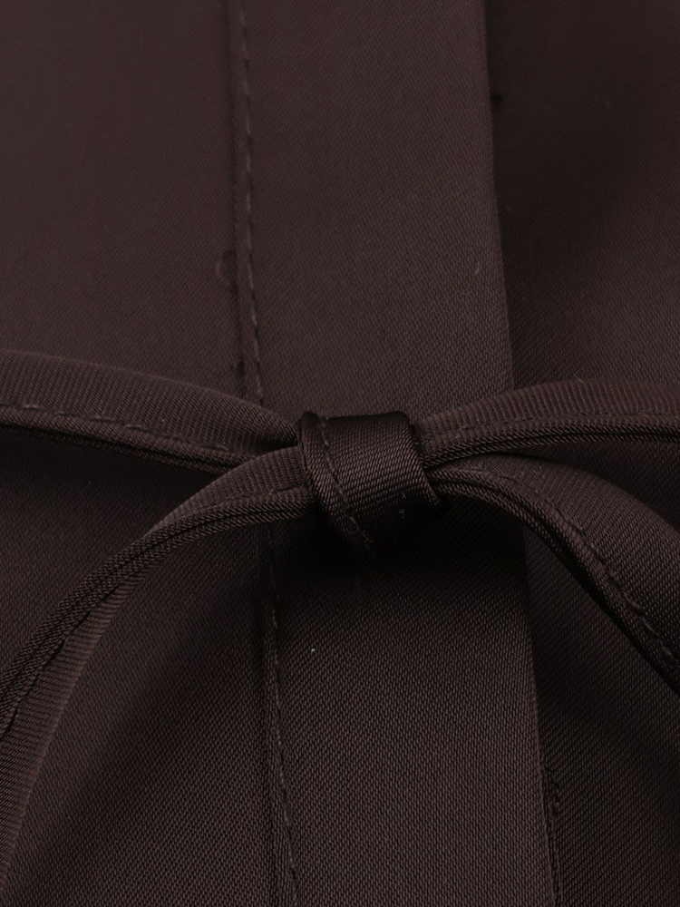 Chemisier en satin pour femme avec ceinture à nouer, col en V, manches longues, printemps-été, chemises simples pour femme, chemises et blouses élégantes pour femme