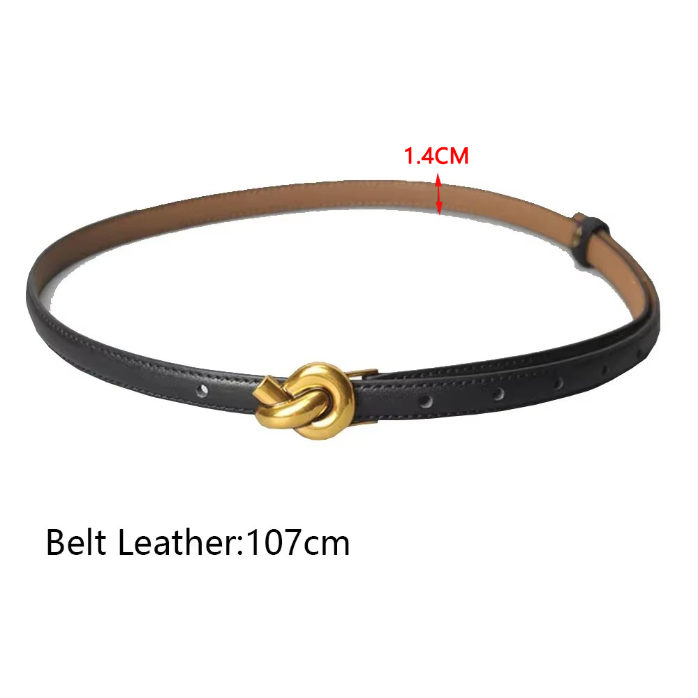 Ceinture de taille de luxe pour femme, designer, environnement, mode, noir, blanc, marron, fjJeans, robe, CY08