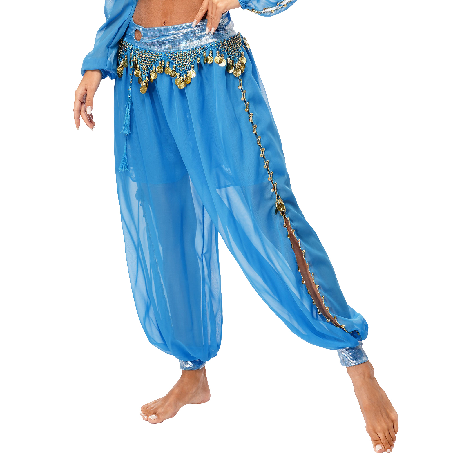 Pantalon sarouel de danse du ventre pour femmes, Costume de carnaval d'halloween, pantalon à franges à paillettes, pantalon ample pour spectacle de danse arabe Tribal