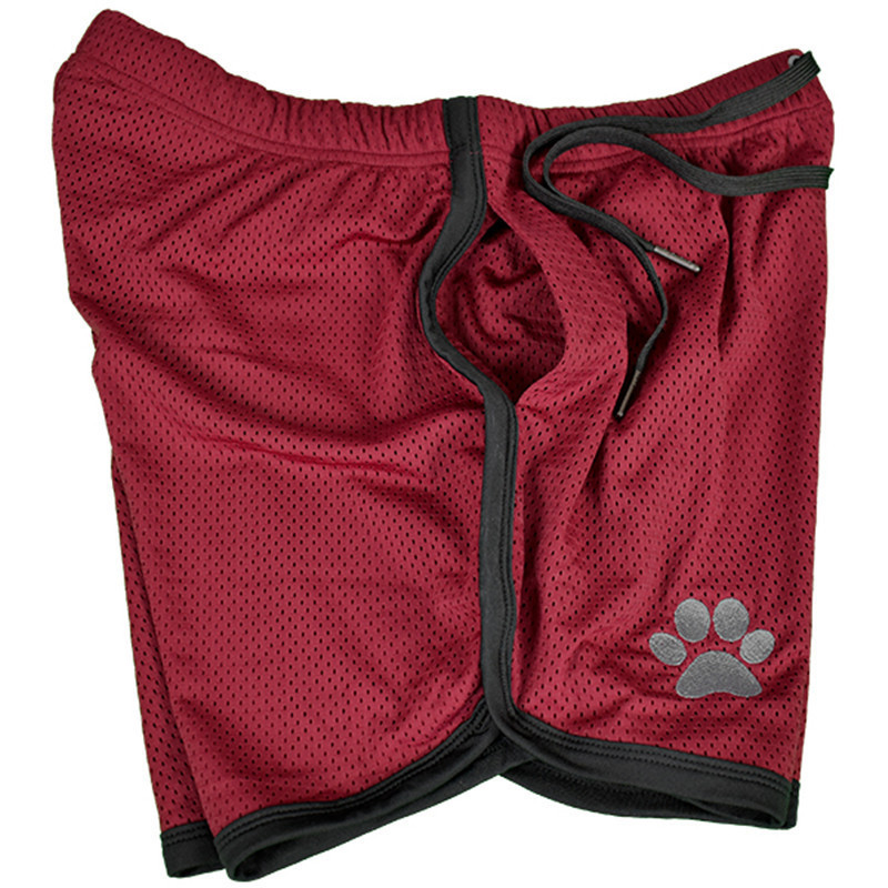 Nouveaux Shorts de sport d'été hommes pantalons de survêtement de Fitness pantalons courts respirants hommes salle de sport séchage rapide survêtement maille hommes Shorts de plage