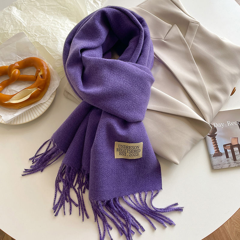 Écharpe en cachemire de style coréen pour femme, foulard de la présidence, enveloppes double face, document solide, chaud, hiver, nouvelle mode, 2023
