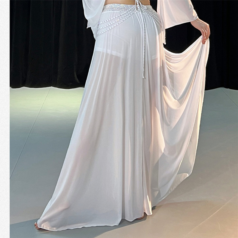 Costume d'entraînement de danse du ventre pour femmes, 2 pièces, manches longues, jupe fendue sur le côté, tenue à paillettes, spectacle de danseuse orientale, vêtements en gaze XL