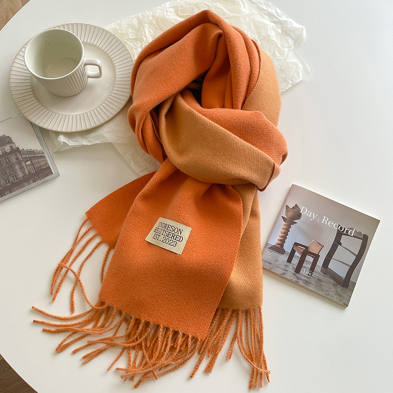 Mode solide cachemire chaud écharpe nouveau Design Pashmina hiver Double face couleur différente châle enveloppes Bufanda avec gland couverture