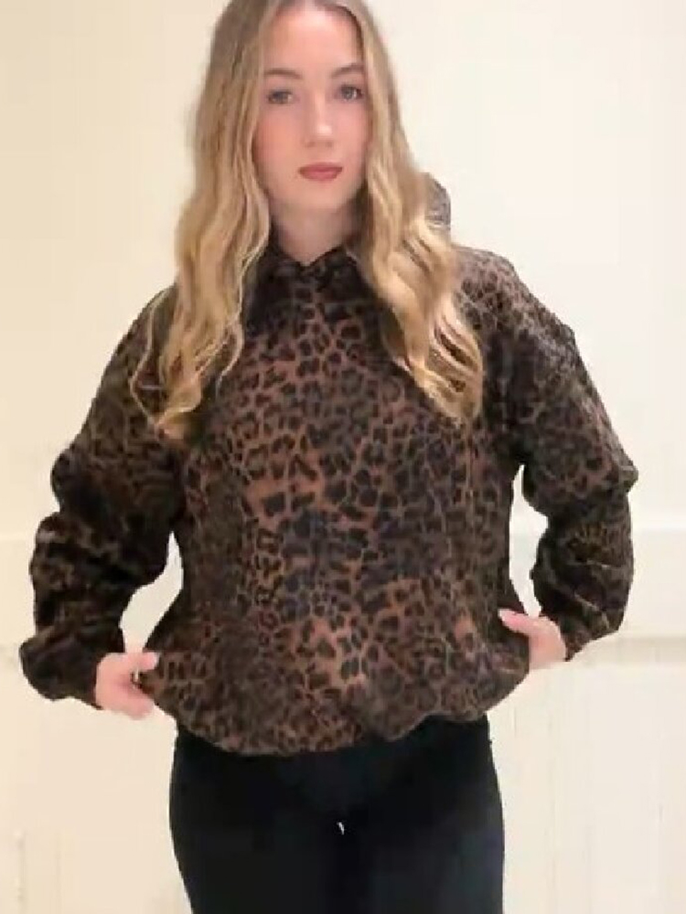 Sweat à capuche élégant et chic à motif léopard, pull décontracté vintage et tendance pour femmes, tenue de rue décontractée et à la mode pour l'automne.