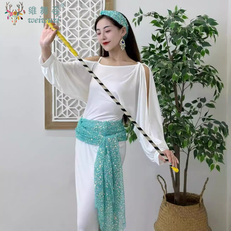 Costume de danse du ventre pour femmes, robe folklorique égyptienne + foulard + écharpe de hanche, 3 pièces, vêtements de pratique professionnels de danse du ventre BALADI