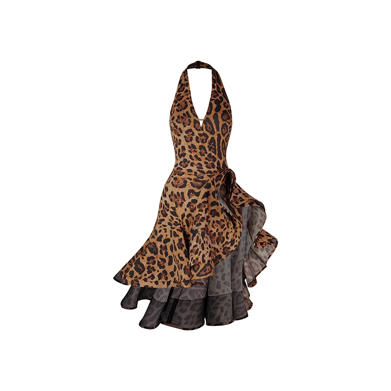 Nouvelle robe de danse latine léopard pour femmes, sexy, dos nu, jupe de performance Rumba Cha Cha Tango, tenue d'entraînement de danse
