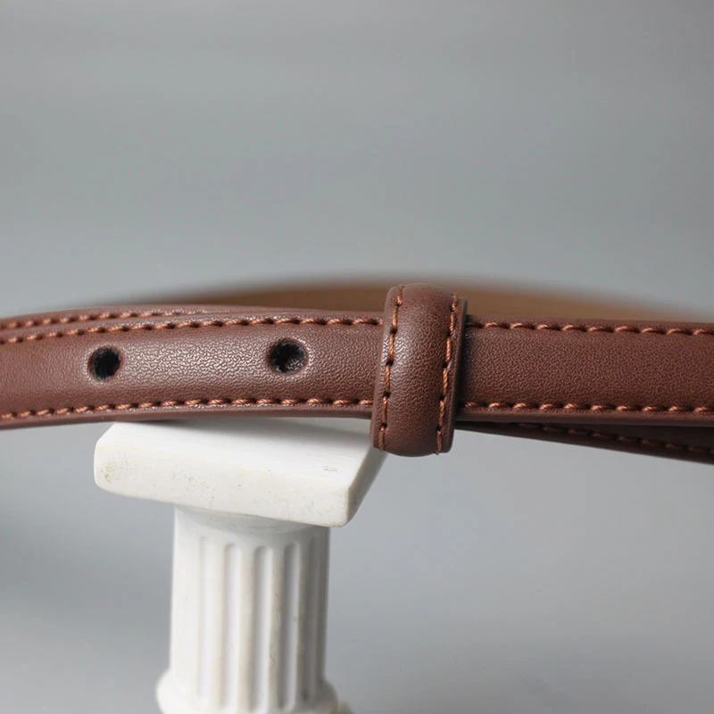 Ceinture de taille de luxe pour femme, designer, environnement, mode, noir, blanc, marron, fjJeans, robe, CY08