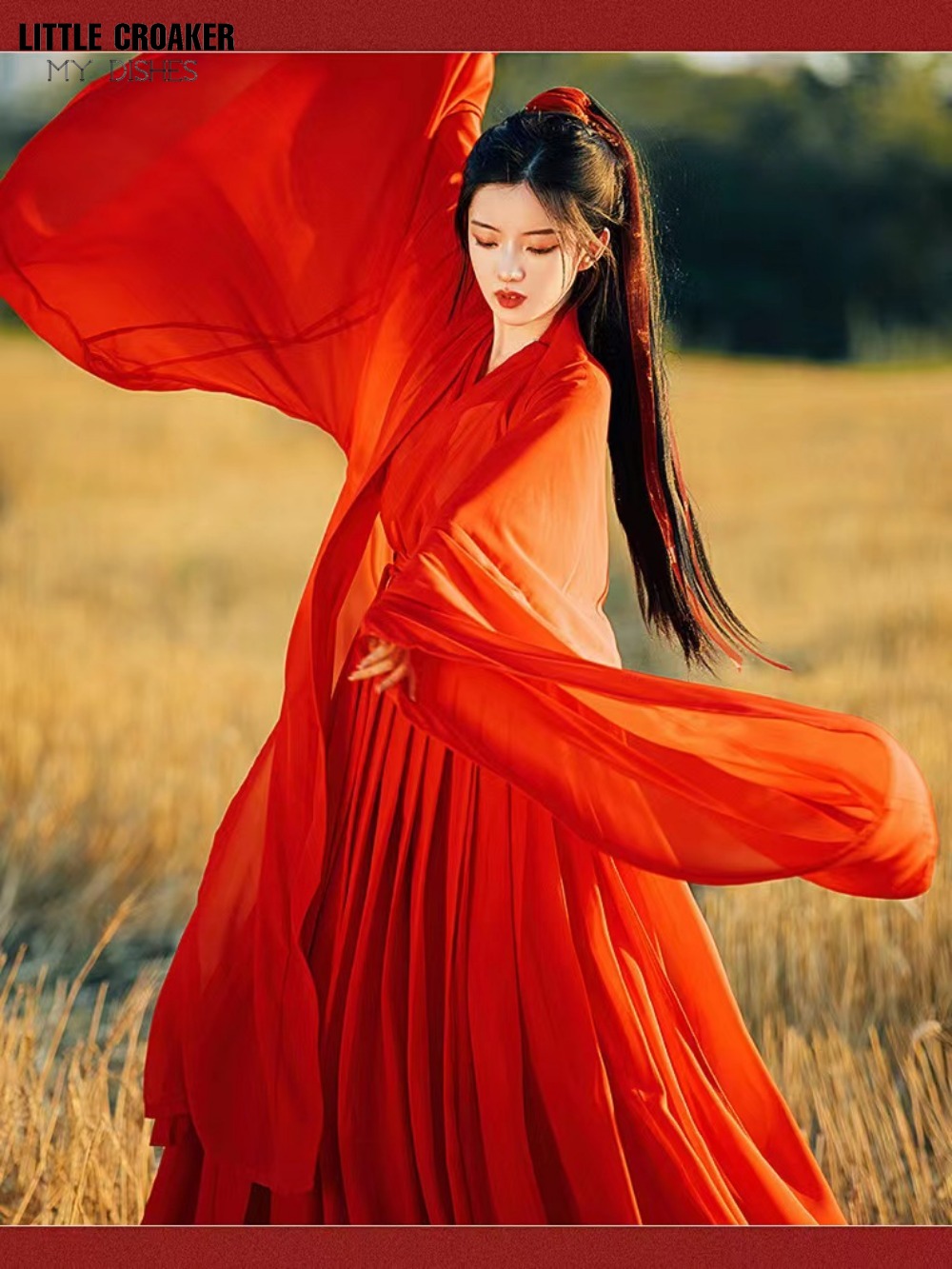 Costume de danse folklorique traditionnelle chinoise pour femmes, vêtements Hanfu pour dames, ancienne tenue de Cosplay de la dynastie Tang
