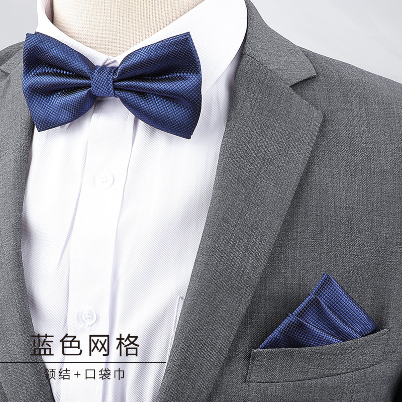 Nœud papillon et serviette de visage pour homme, pour costume, occasions formelles, banquets, mariages, tenues de marié, nœud papillon papillon masculin