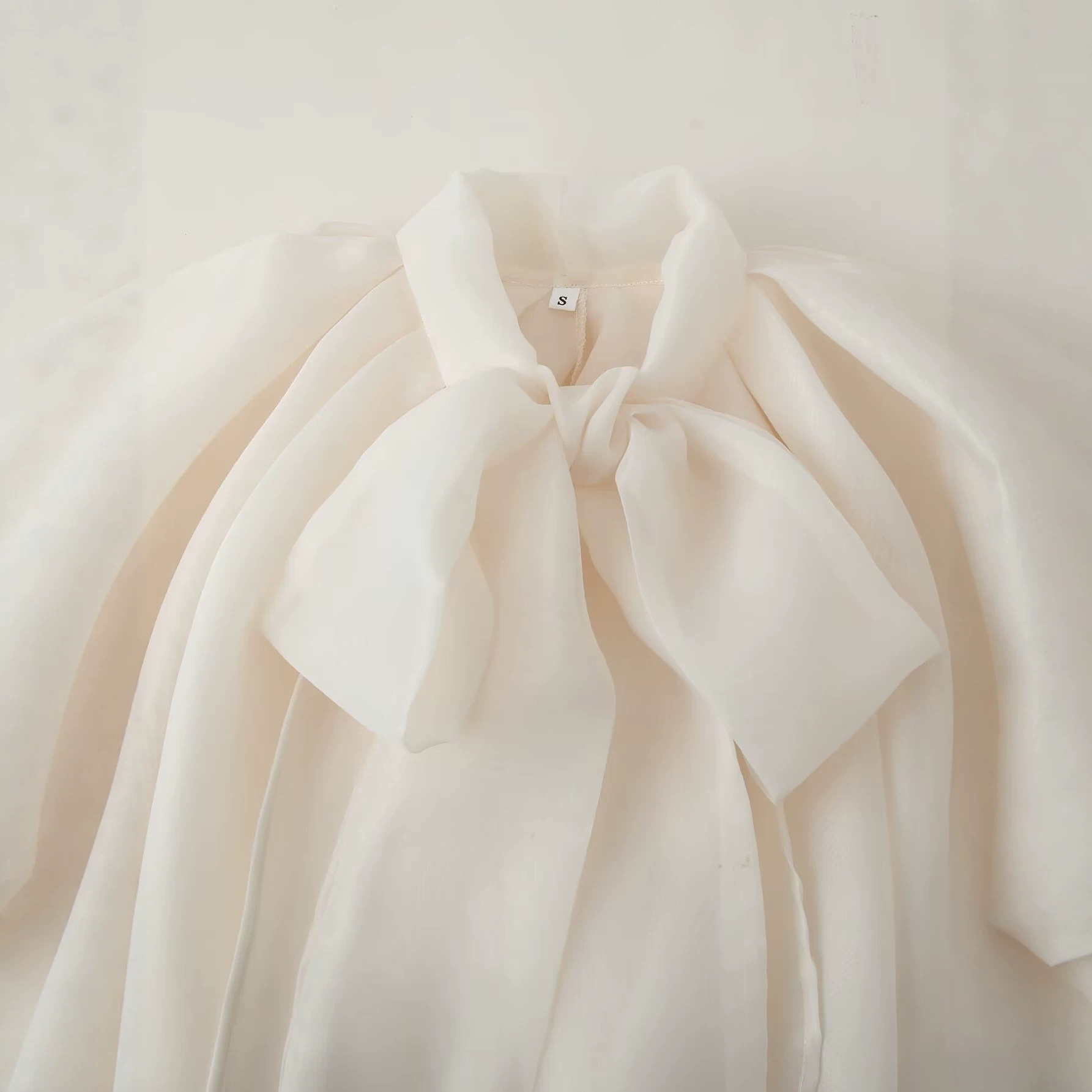 Nouvelles Blouses en Organza pour Femmes, Unies, Transparentes, Col Rond, Sans Manches, pour Fêtes, Été 2026, Style Chic, Tenue de Ville, Tops Féminins