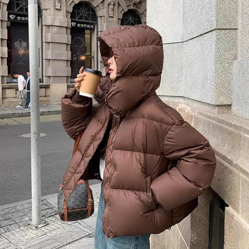 Nouveau automne hiver veste femmes mode léger à capuche vers le bas coton pardessus femme ample décontracté chaud Parkas vêtements d'extérieur