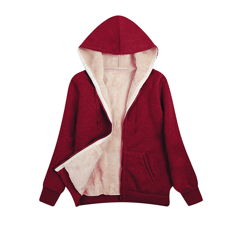 Hiver femmes à capuche en peluche manteau polaire sweats à capuche S-2XL fermeture éclair sweat à manches longues pull veste