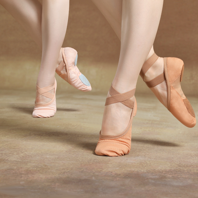 Chaussons de ballet pour filles, ballerines élastiques, chaussures de danse plates pour femmes, chaussons de ballet en tissu extensible à lacets simples