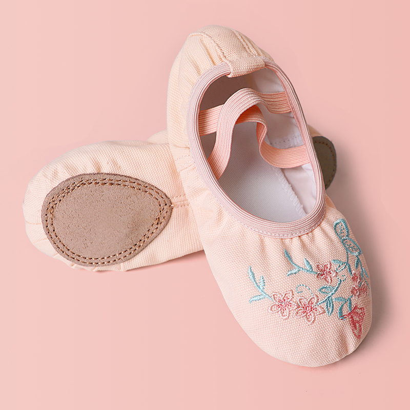 Chaussures de ballet brodées pour filles, chaussures de danse souples pour femmes, pour l'entraînement et la performance, chaussures de ballerine antidérapantes, ballerines de danse professionnelles